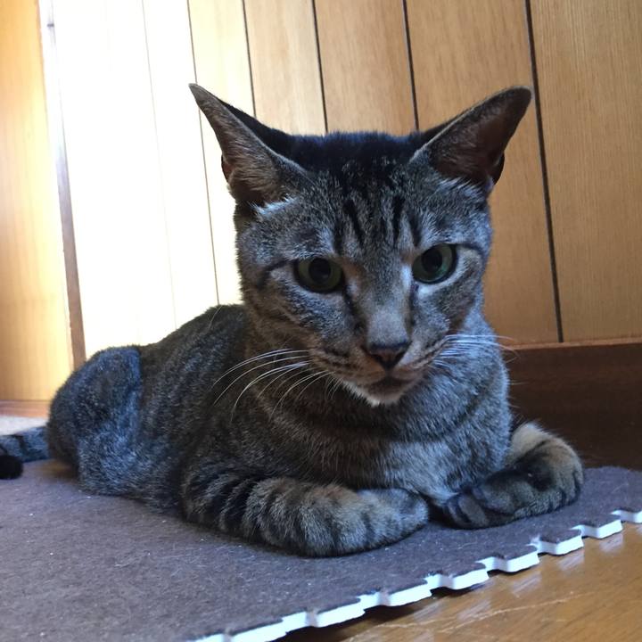 39339eb5 8cac 49c8 bc1e 9fcc0c81036d