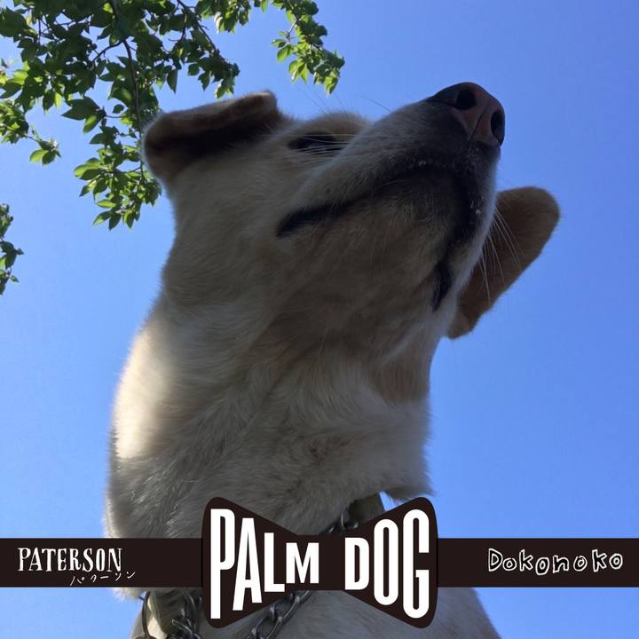 3933a804 e36f 419e 9f48 2302894085da