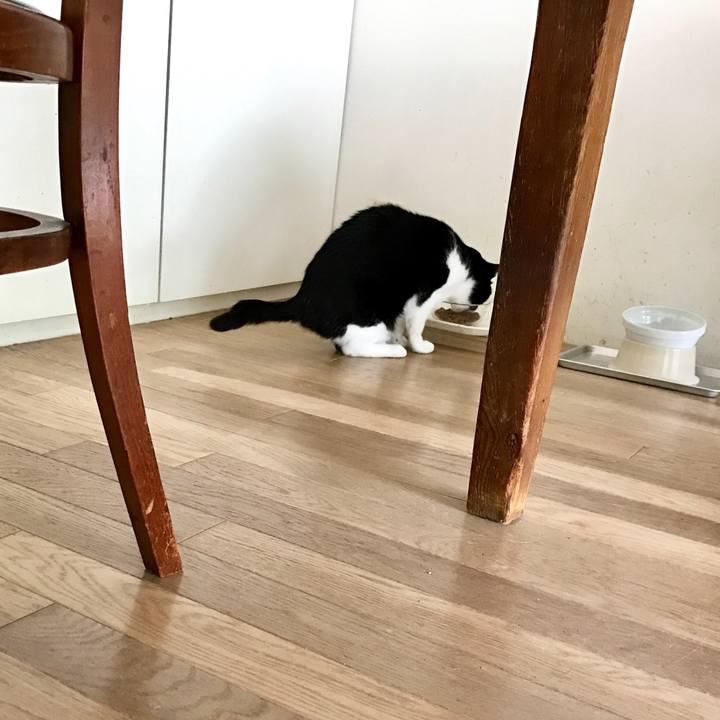 39340310 50be 429f b8c7 73ca0e39d8aa