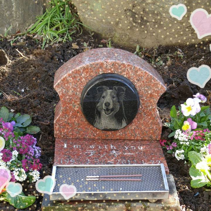 3934216c 6a7f 4132 ae67 02990d5b6c7b