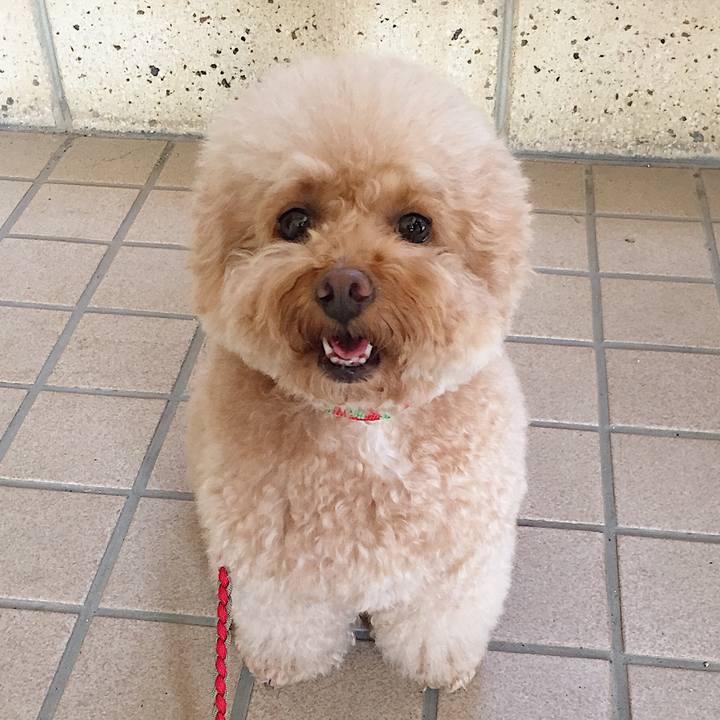 393451d1 7fcb 4e7a b485 f344f2b48d1b