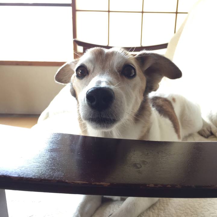 3934dea8 2fcd 4261 8745 177b7a9c7c31