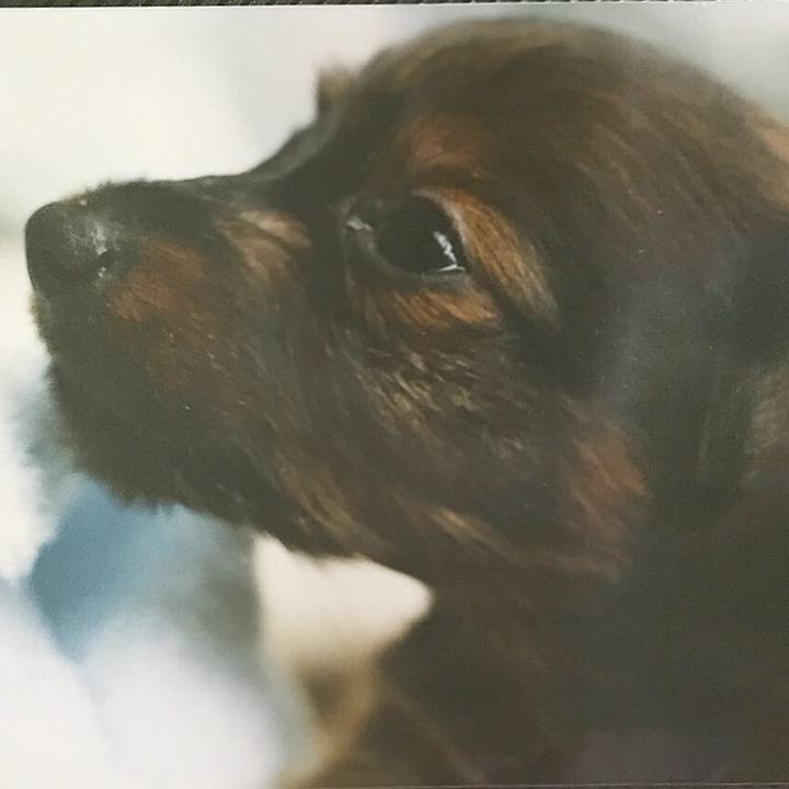 3934f99b 3e2c 4b2c 871f 570245a8a7fc