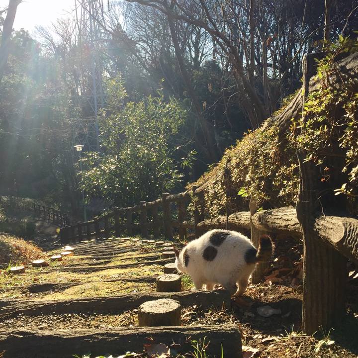 393554d5 0933 4c35 b11d 72786fe7a675