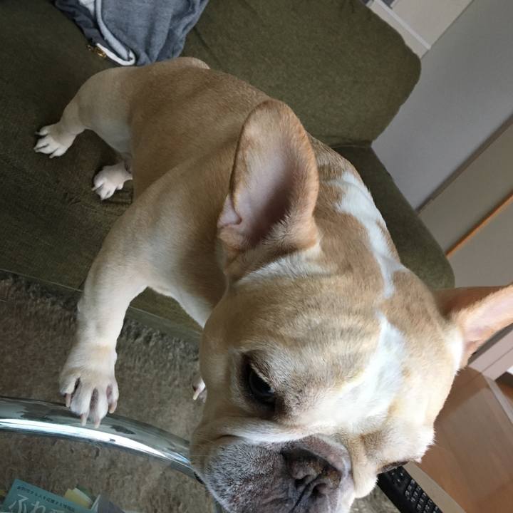 39359459 9908 427d 971a 729df214a5fd