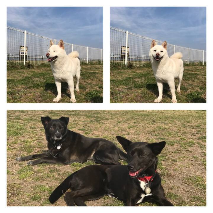 3936403e c819 4a6f bc8f 91ba24eead34