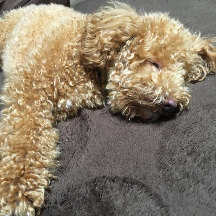 393641df 035c 423b b898 6b6511c1a2bc