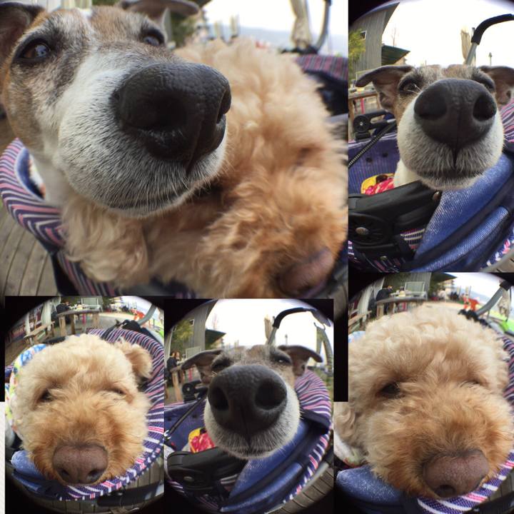 39364d80 c7b8 4320 a210 6d9a6cc3fc8c