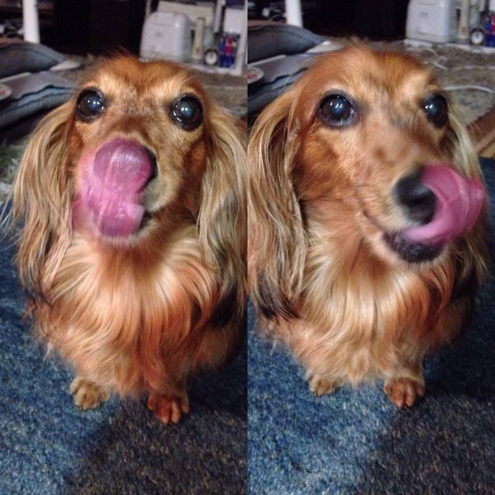 3937c747 1841 476d b650 537a9e54631b