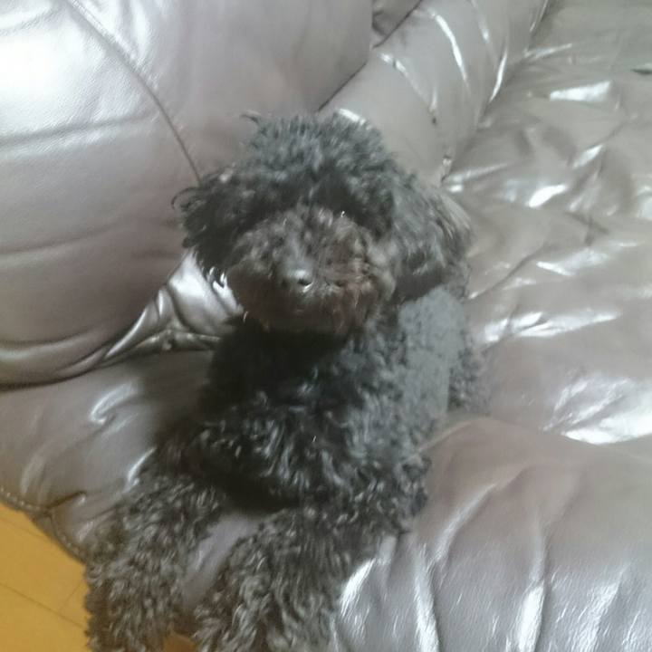 3938a4eb c4cd 40ed b1e7 41aa44e2c6fa