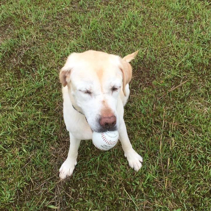 3938ab77 e1da 49f2 96df 7e083e26c792