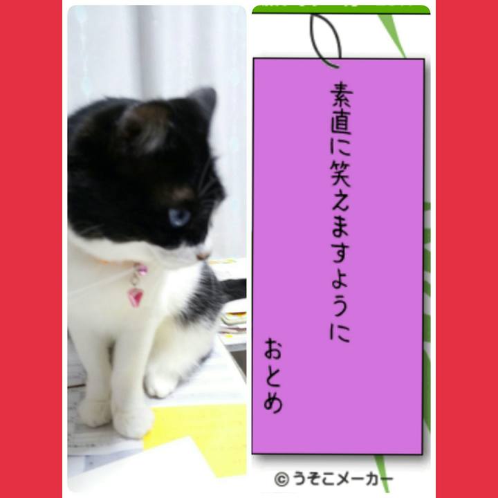 3938d292 f17b 441e 9134 358ada653583