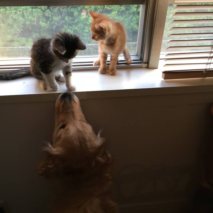 3939e24f 86a2 4df5 be3c fc58ad92480d