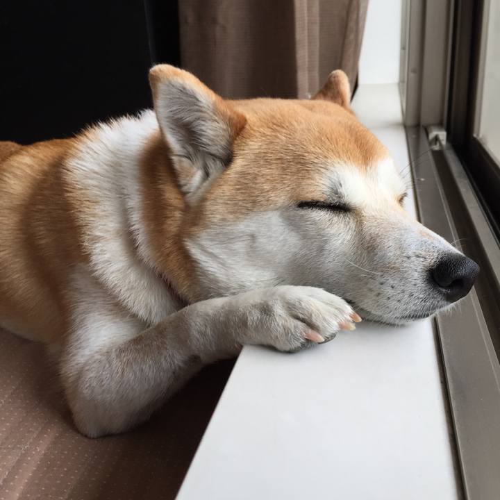 393acfa1 a079 4168 b99d aac9803e21ea