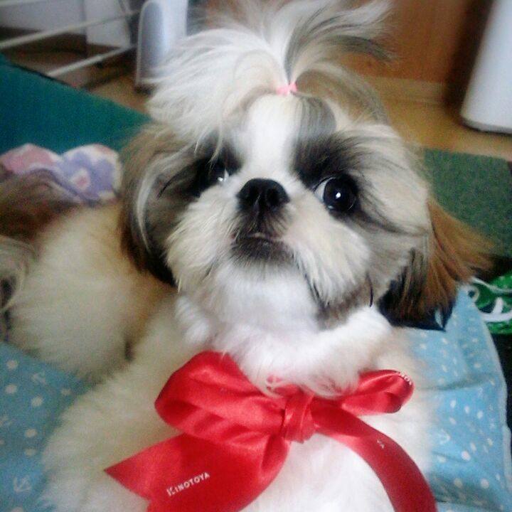 393b40c4 efdf 409f 8914 49dc91b52fb6