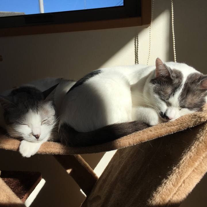 393b547d dbfe 4075 9c4d 096f457ab243