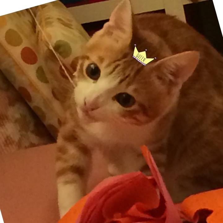 393bbefa 5b2e 46fe 8c13 b109363a4803