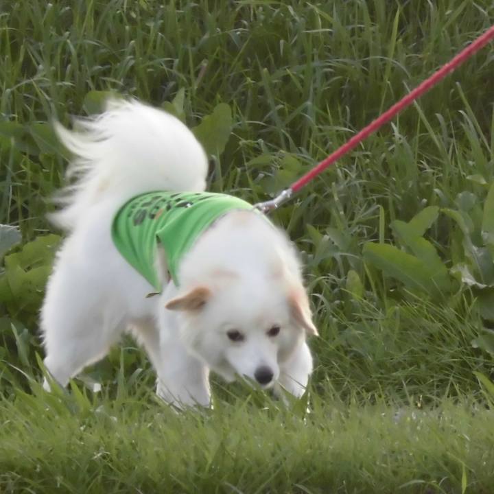 393c5229 b5e7 4c8b 9c25 736fb7b06da7