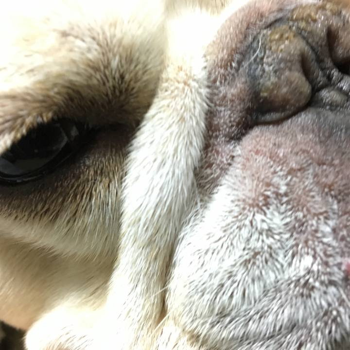 393c72d7 98c8 4077 b857 5996b3700c7b