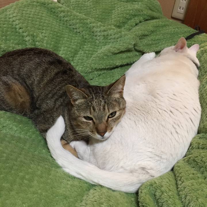 393ca8b4 f284 44a6 9ba6 2156d3c7125f