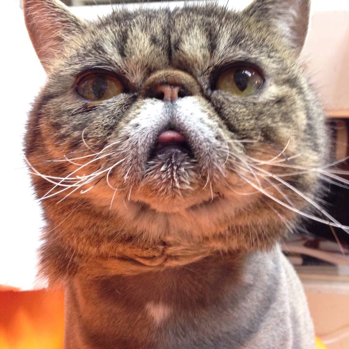 393d7b73 b54f 4e94 b69c 0e1849b83629