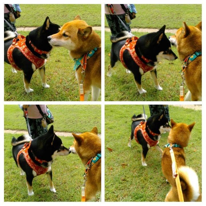 393d89a2 ff83 4369 91de 84fed16377c5