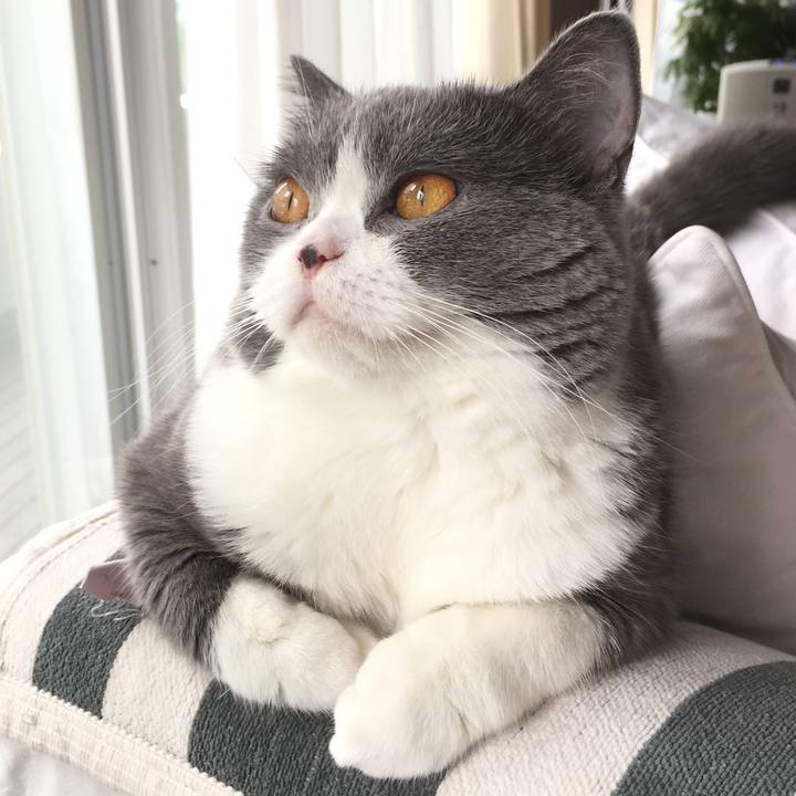 393dca47 3c2a 48c3 baef a127783574e2