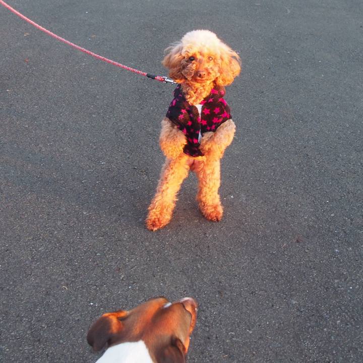 393e227d a5cc 40ff 9cc0 f8161f903531