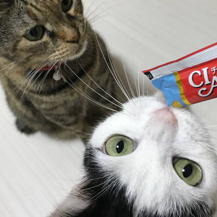 393e4106 e7b1 4eef a128 5ff5be9c79f0