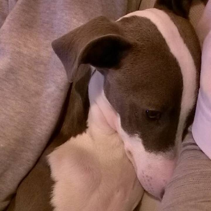 393eecd7 ff46 4a36 a00c 2a1ad3dbff33