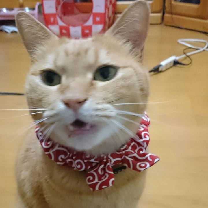 393fed40 b83d 4bf9 bb32 ba540f521c58