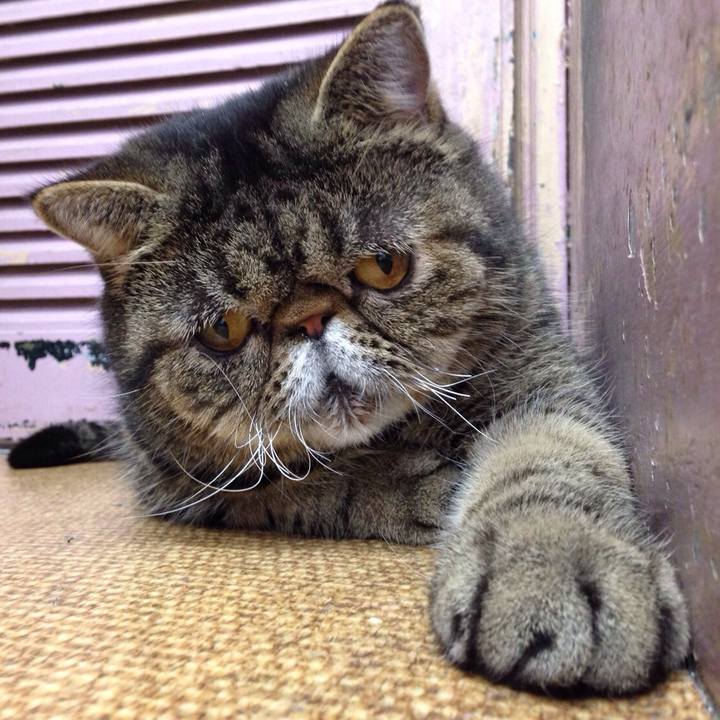 39401f15 324f 452c 8f21 2232de27c1a1