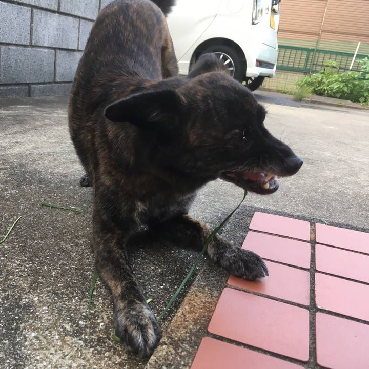 39407e52 13c4 4916 a337 8aeea26b22ce