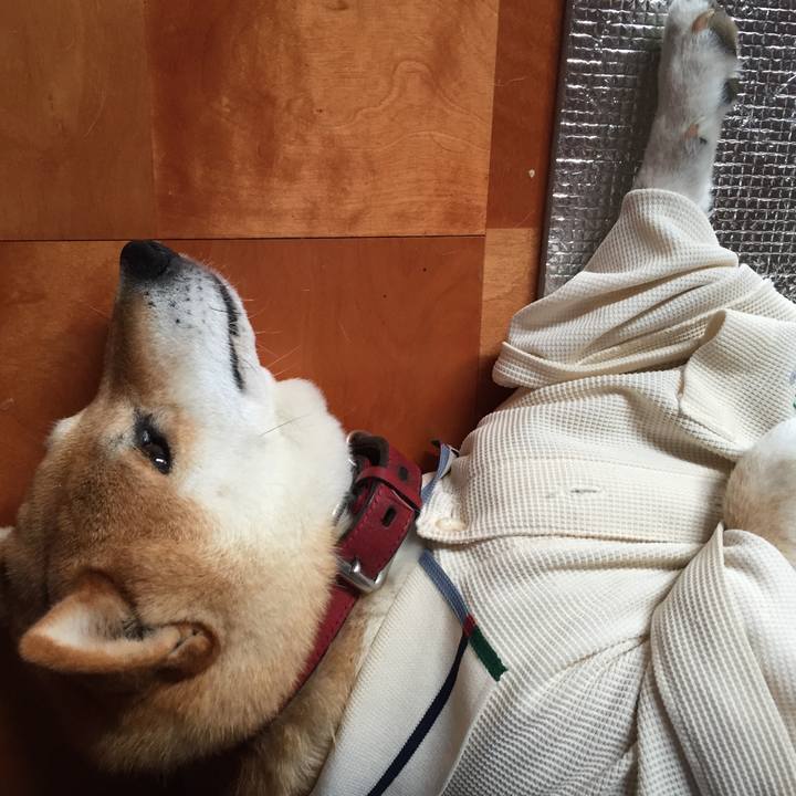 3941b8f9 019c 4517 80b0 54ef1e523330