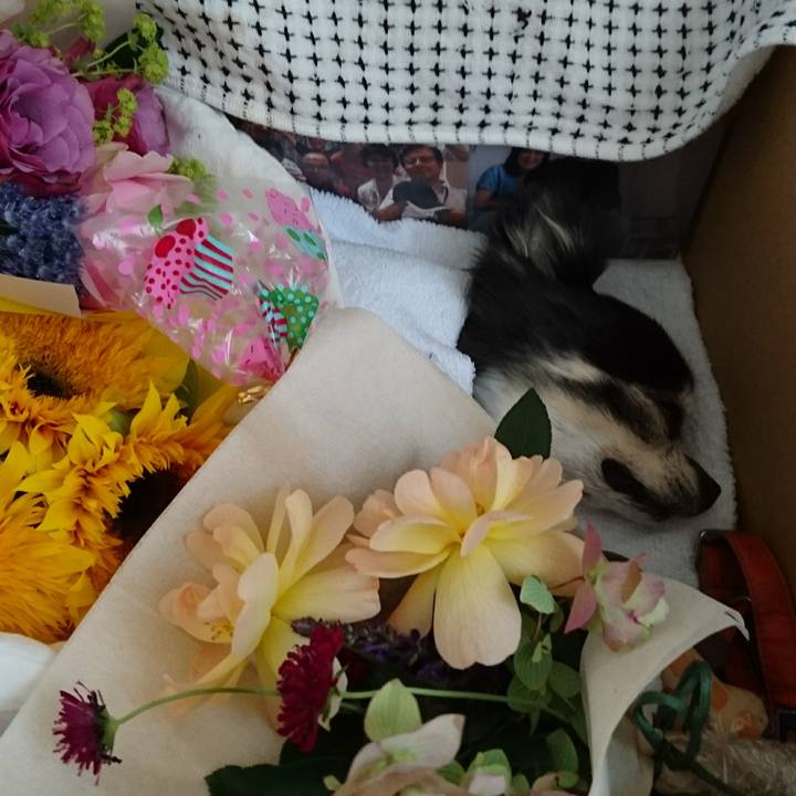 3941caff 280b 4307 b3de 63a26b92ebca