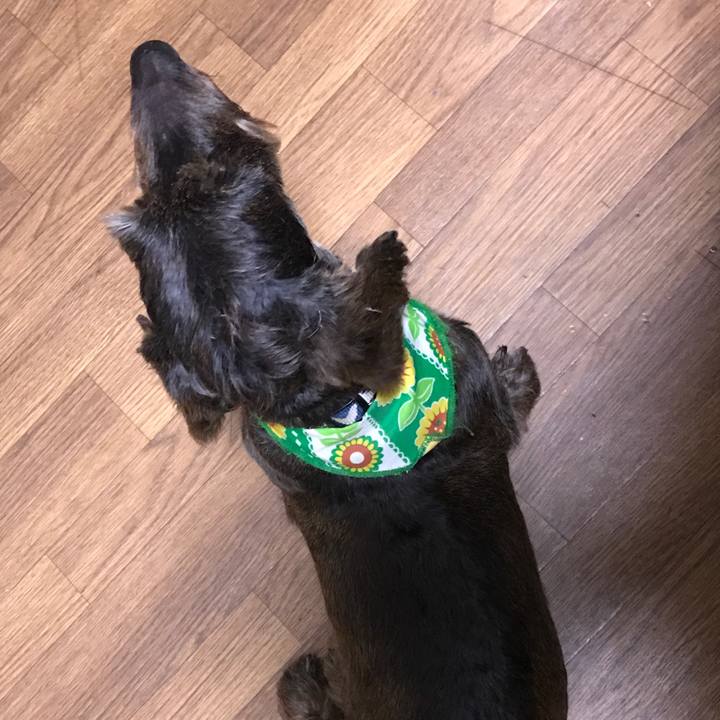 3941d4df 906a 463d b616 a35e023003e6