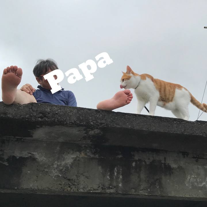 3941d7a8 b1bf 438f 912a 484fdb0c8711