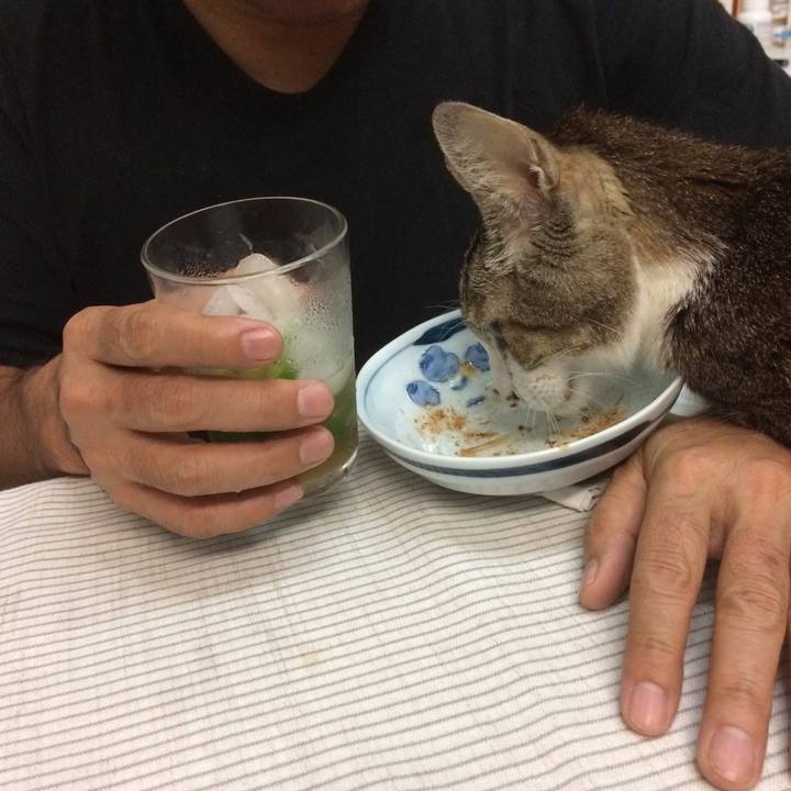 394237fe df5a 4f7a aaf8 d7d7925f1851