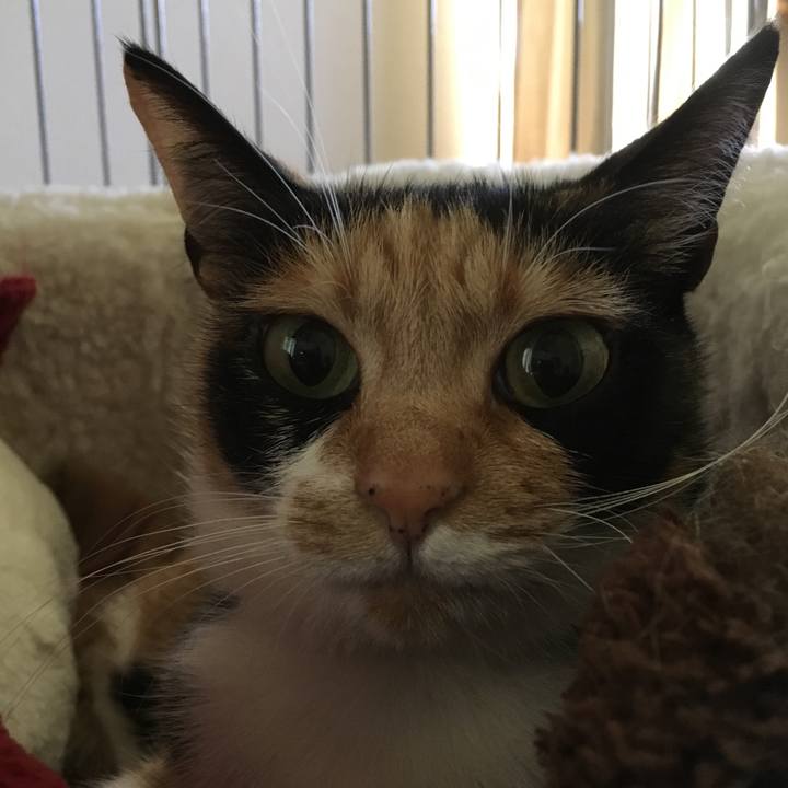 3942c2fb 130c 428c 82d3 547074a49828