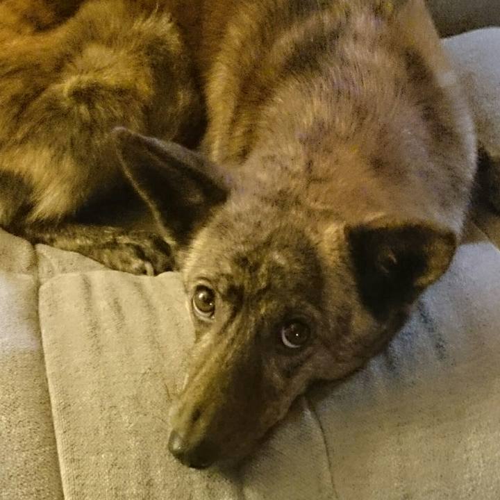 3943429d 38d7 4126 aa7a 1a8bb324a34c