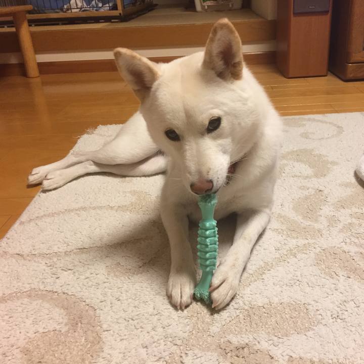 39438e30 5e0d 4688 8e05 cb843aae76e9