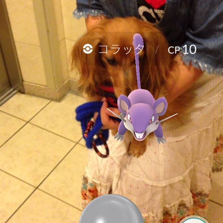 39438f9b f759 4c41 8fd7 b560678c47e6