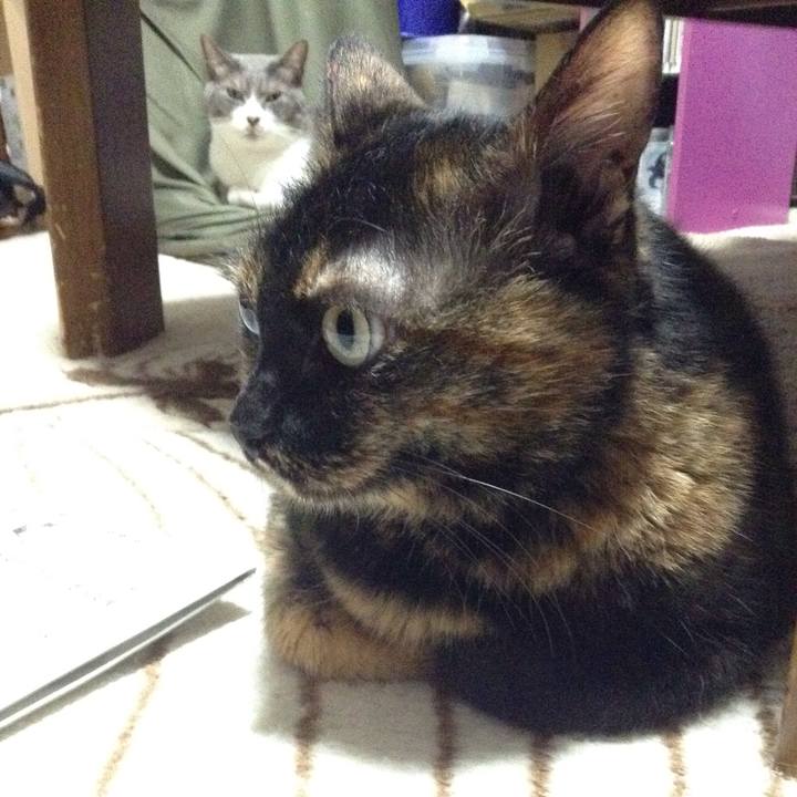 394419cc b43a 4b76 9084 c10b5bb97996