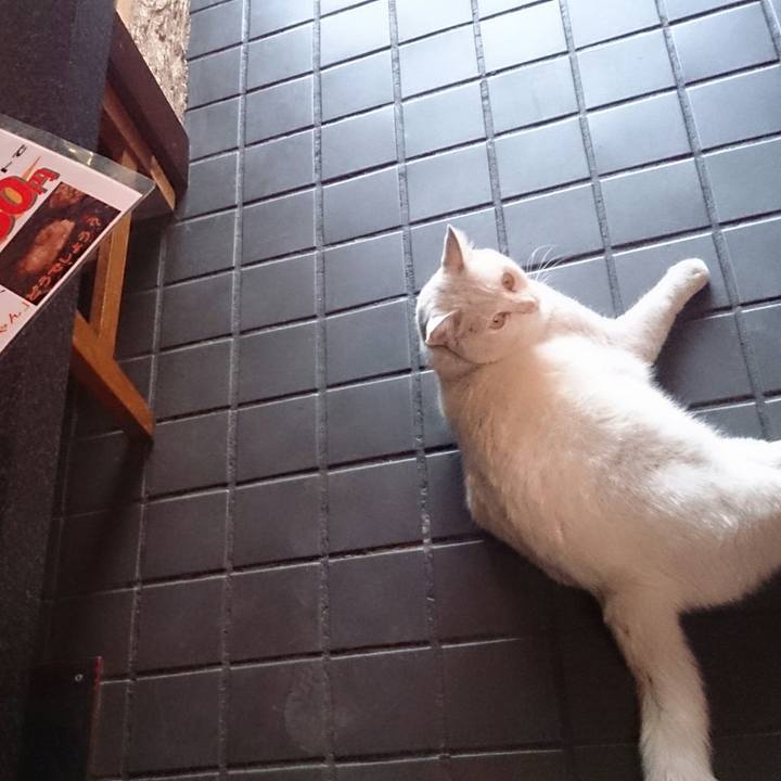 39456377 fe55 452e b667 a88efd3e6bb6