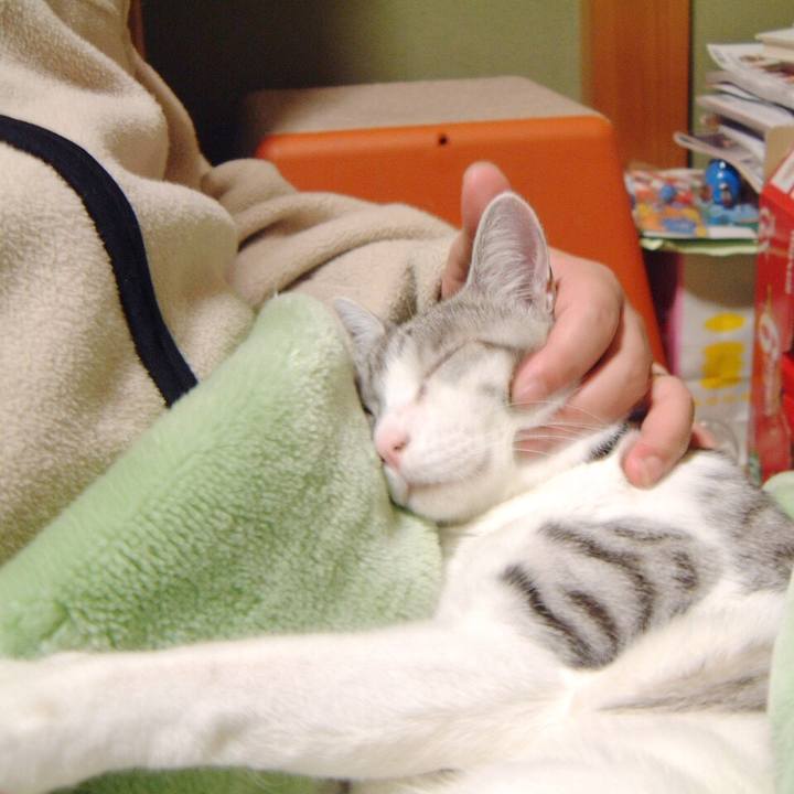 3945c190 3bc2 4687 9a00 6b72ae939d8e