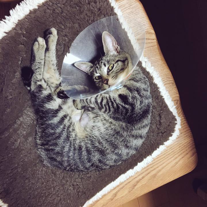 3945d5de 9ca3 415d 9660 512916eb4a3c