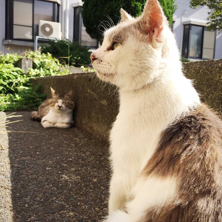 3946280f f1db 4c1d b84d 62008bf99347