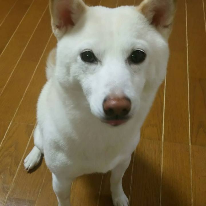 39467156 8d93 44c2 8bf5 8838b9f61770