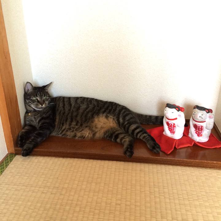 3946d21e ed8b 452a aa95 b47859f94585