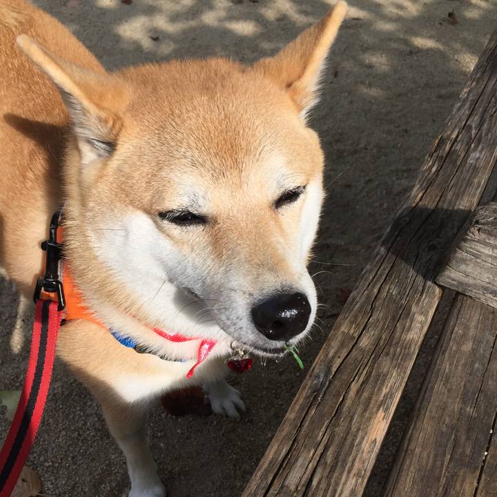 3947c2d8 9507 44eb b76c c55e574916cb